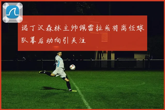 诺丁汉森林主帅佩雷拉或将离任球队幕后动向引关注